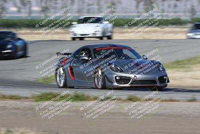 media/May-03-2024-PCA Central Coast (Fri) [[eaa7da0ee1]]/Yellow Group/Session 1 (Grapevine)/